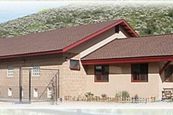 pet daycare in steamboat