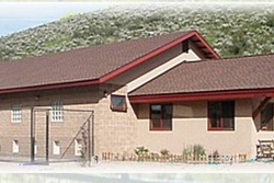 pet daycare in steamboat