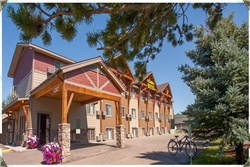 steamboat hotel pet friendly steamboat springs, alberta canada hotels dog friendly